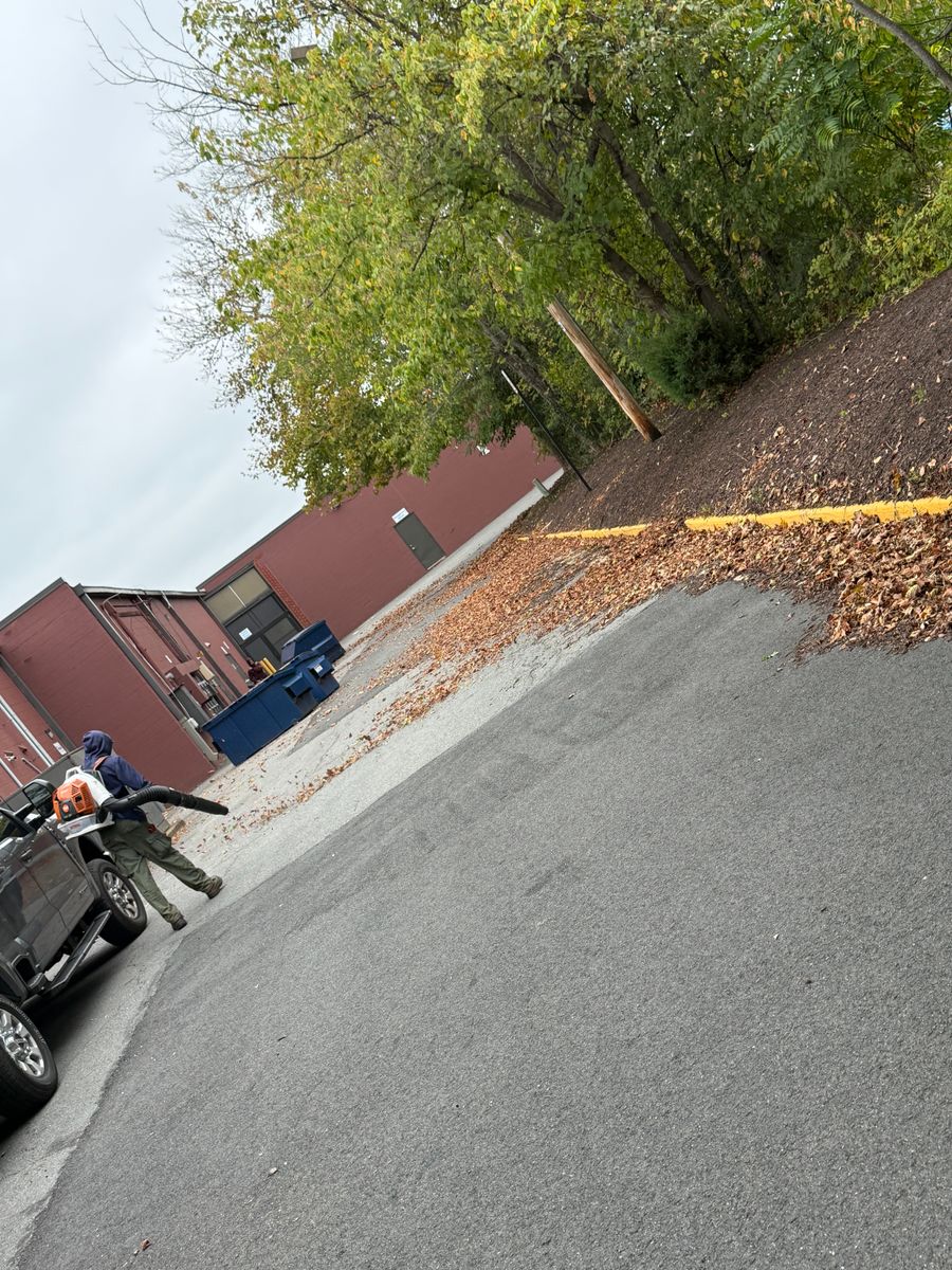 Leaf Removal for Ridgewood Lawn Care LLC in Fredericksburg, VA