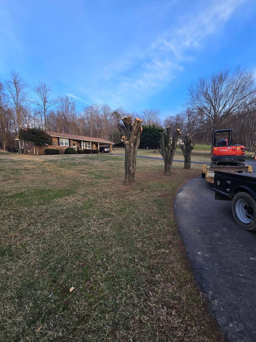 Tree Removal for M&L Lumber and Excavating in Jonesborough, TN