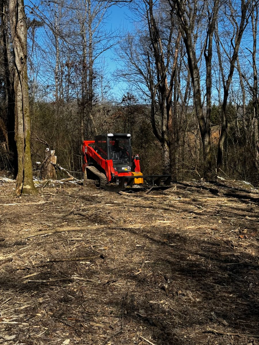 Tree Removal for Leal’s Lawn Service in Dayton, TN