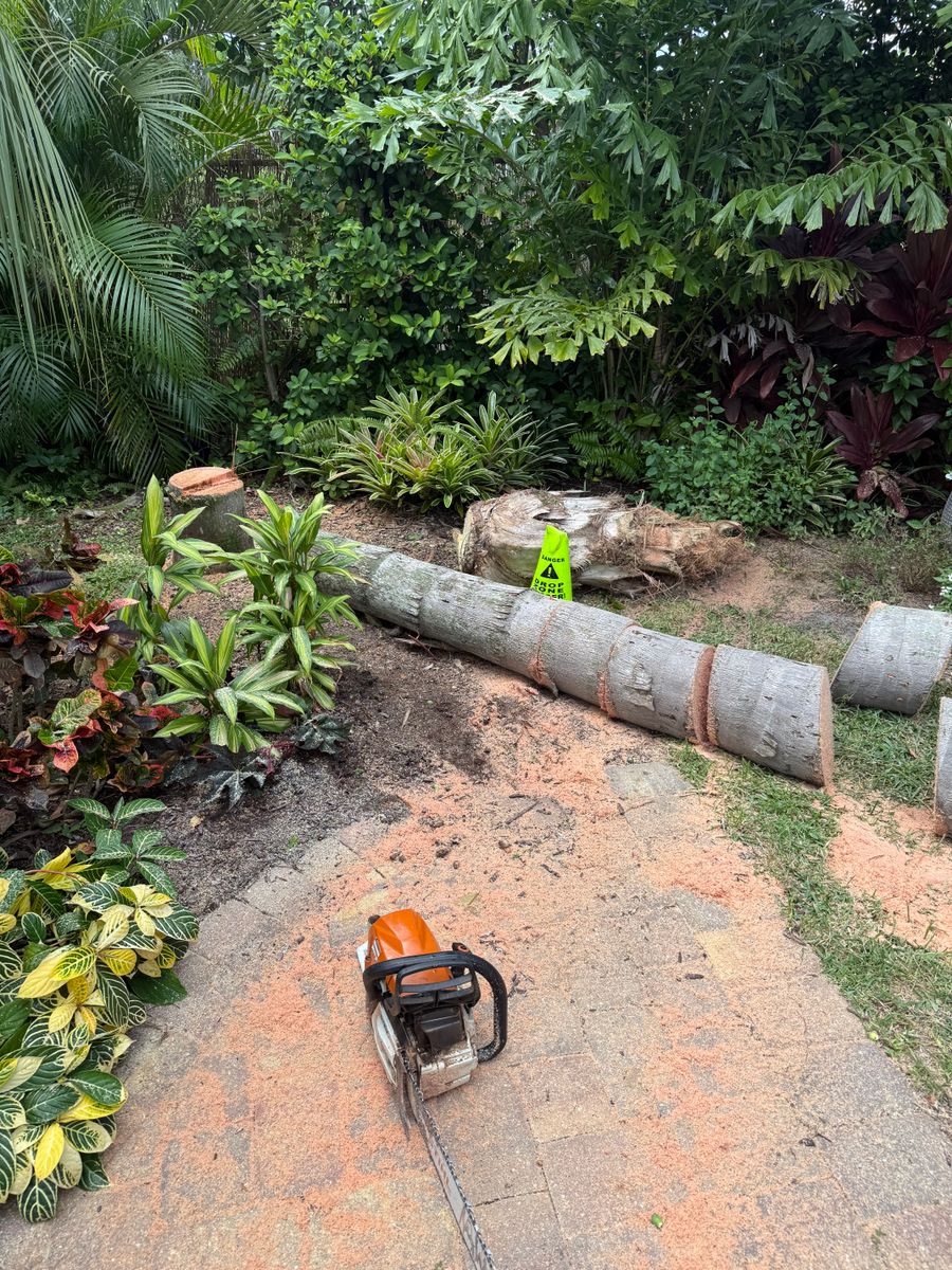 Stump Removal for Damian’s Tree Care in Sarasota, FL