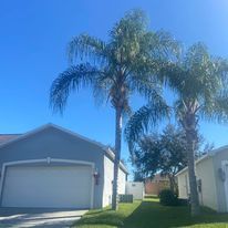 Fall and Spring Clean Up for Efficient and Reliable Tree Service in Lake Wales, FL