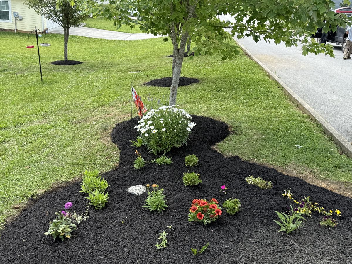 Landscape Installation for Lafollette Mulch, Stone and Lawn Care in La Follette, TN