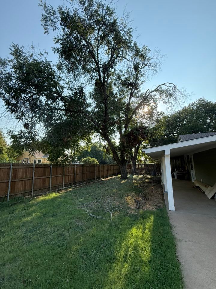 Land Clearing for Blu-J Tree Care in Arlington, TX