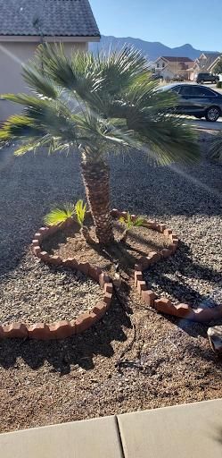 Decorative Rock for A to Z Grounds Keeping in Sierra Vista, AZ