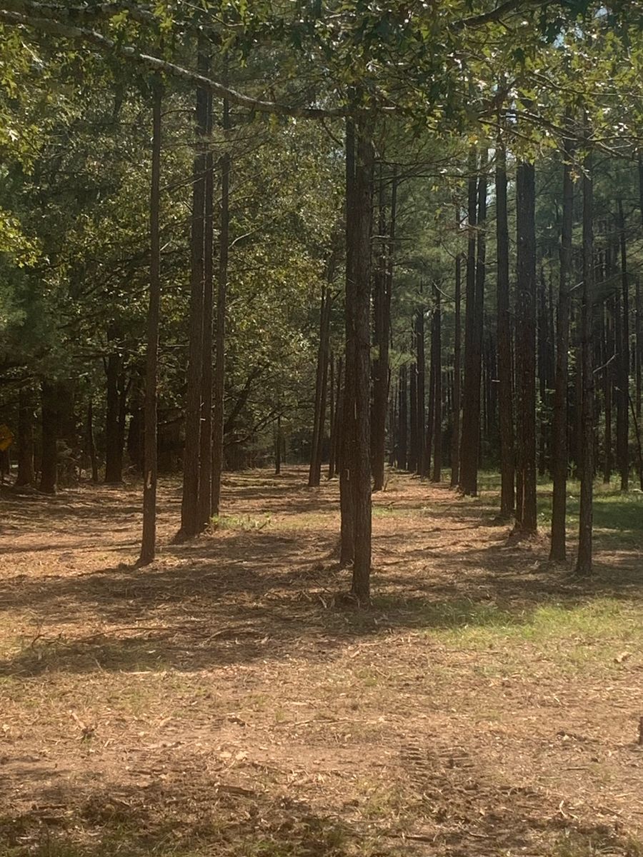 Site Preparation for Polasini Land Development in Starkville, MS