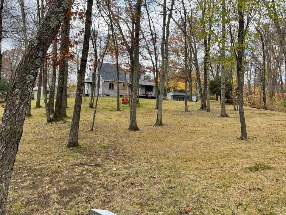 Dead Grass Removal for Navedo’s Lawn Care LLC in Putnam, CT