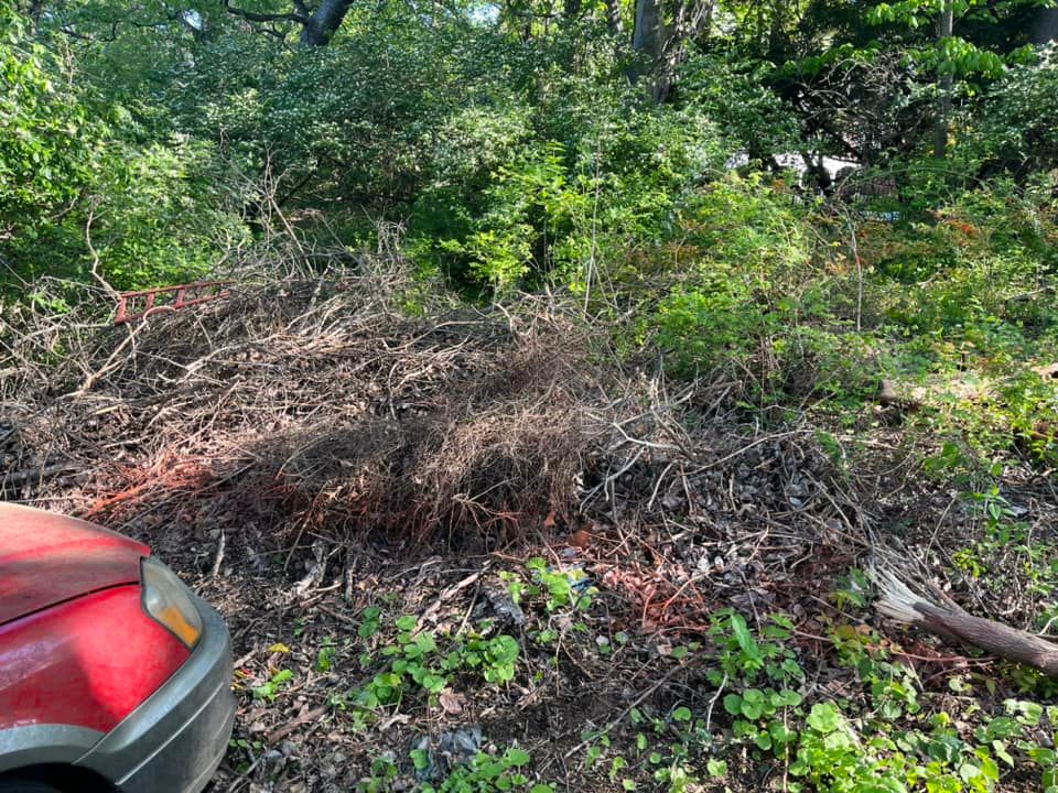 Land Clearing for Taylormade Land Service LLC in Hopkins County, KY