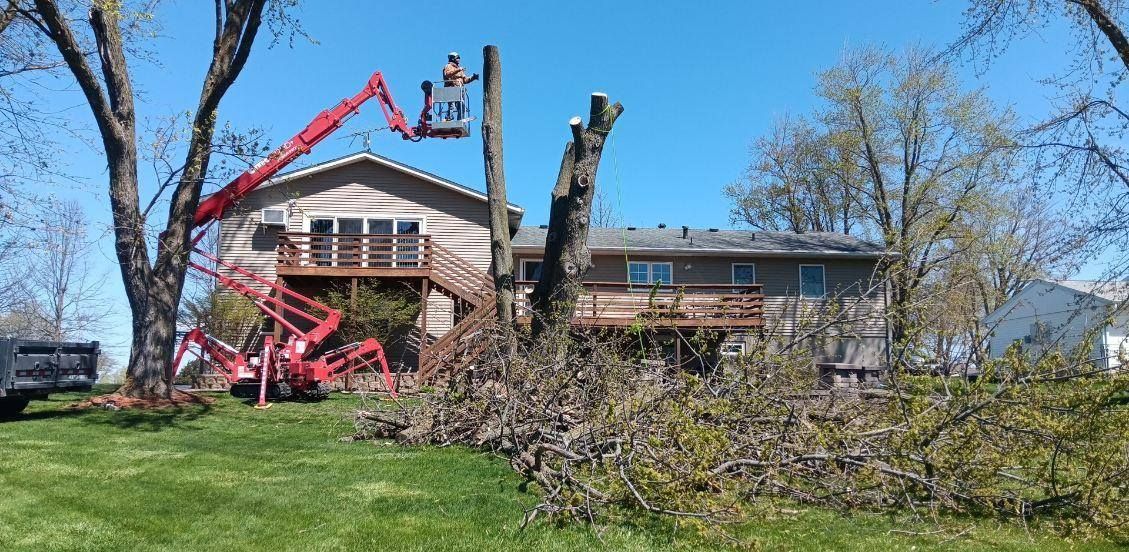 Tree Trimming for Lawn Ranger Yard And Tree Service LLC in Ottumwa, IA