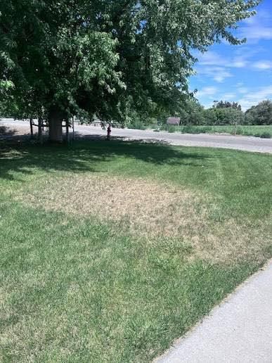 Annual System Checks for The Sprinkler Lady LLC in Port Orange, FL