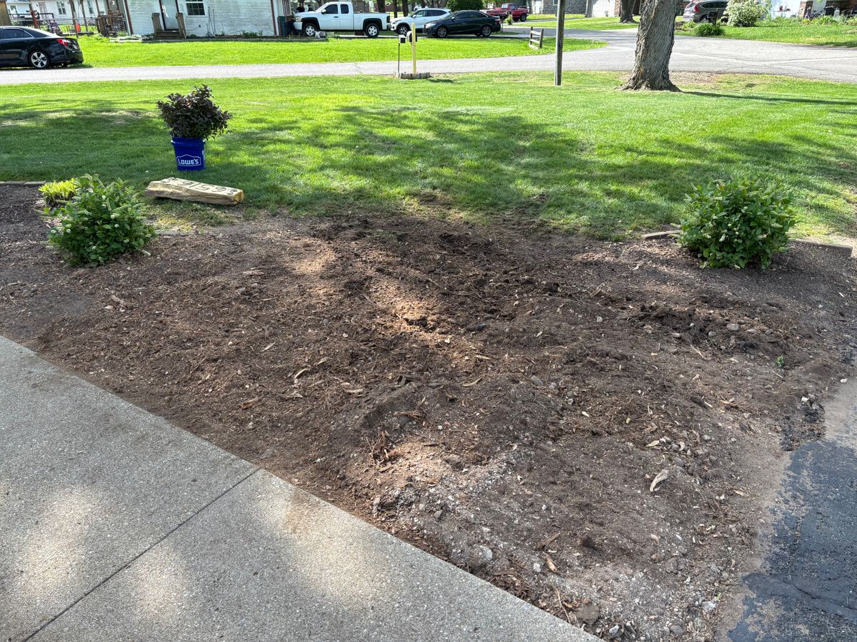 Stump Removal for Conrad's Stump Removal in Columbus, IN