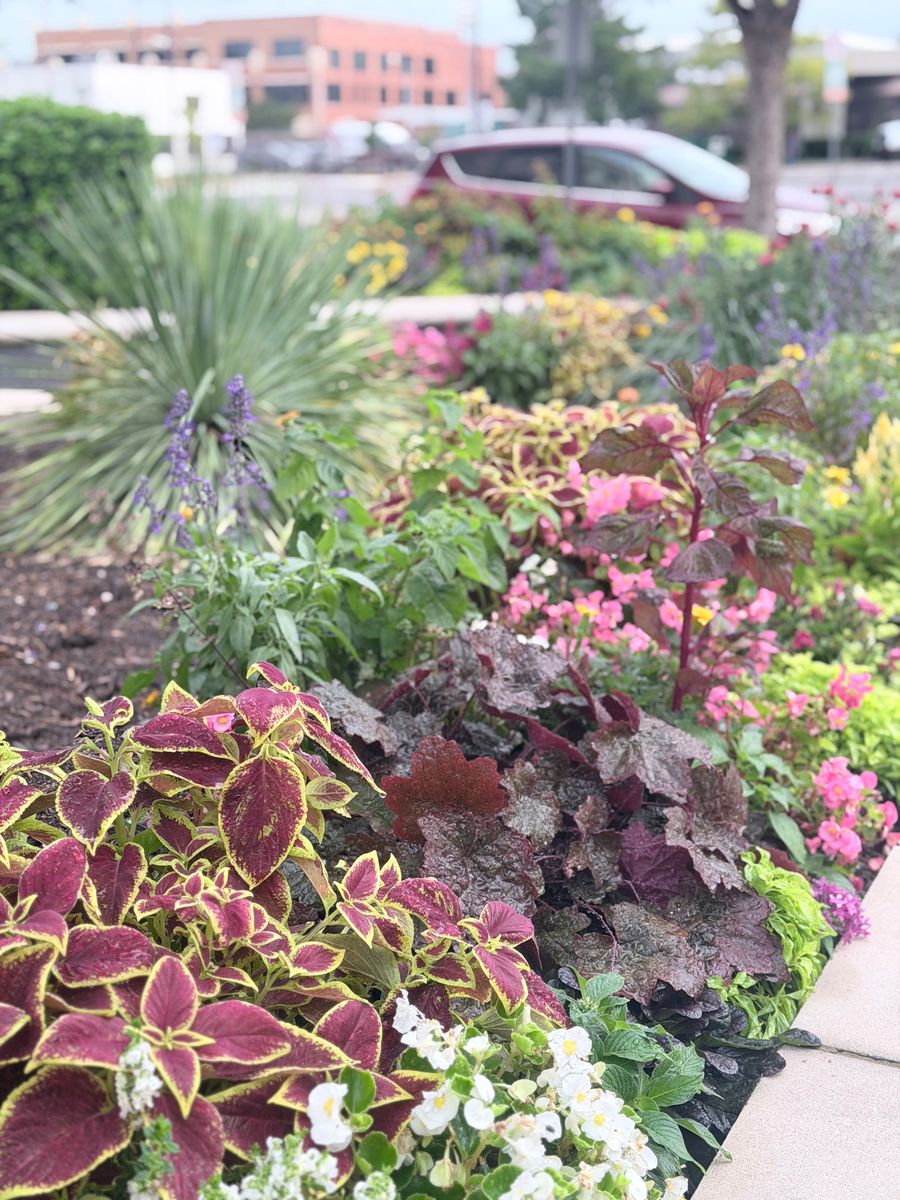 Commercial Maintenance/Installs for Urban Lawn & Landscape in Oklahoma City, OK