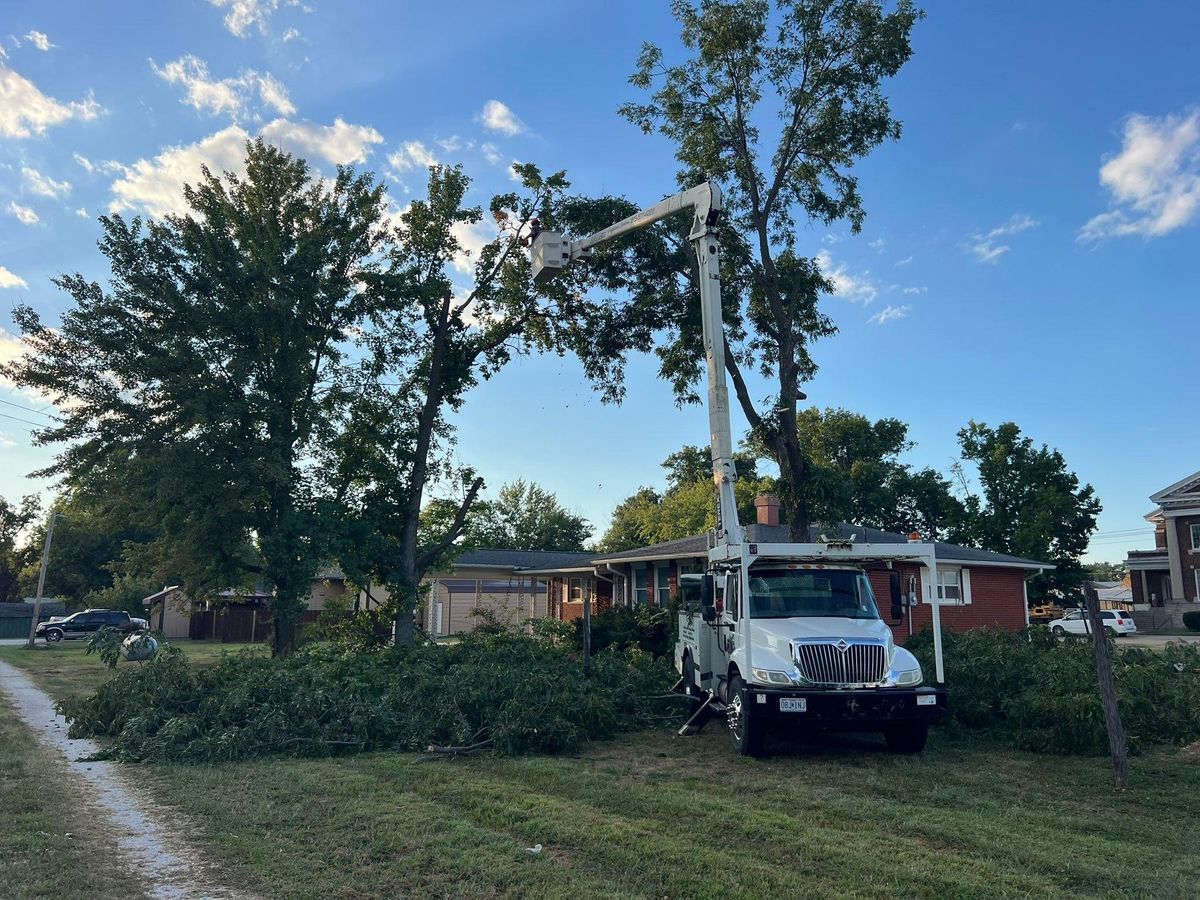 Property Clean Up for Baker Professional Services LLC in Shelbina, MO