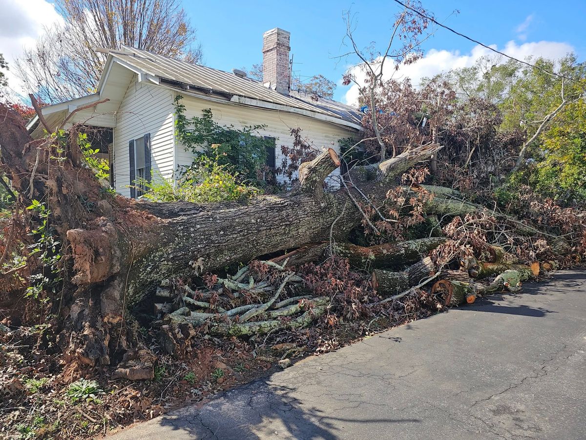 Tree Removal for D&S Tree and Demolition Services in Laurens, SC