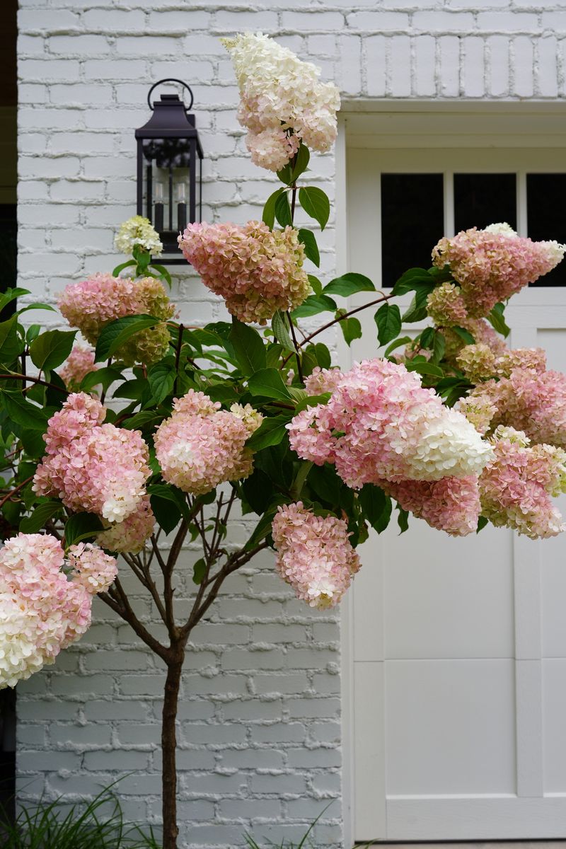 Horticulture Consultation for Courtney Lewis Landscape Design in Portland, OR