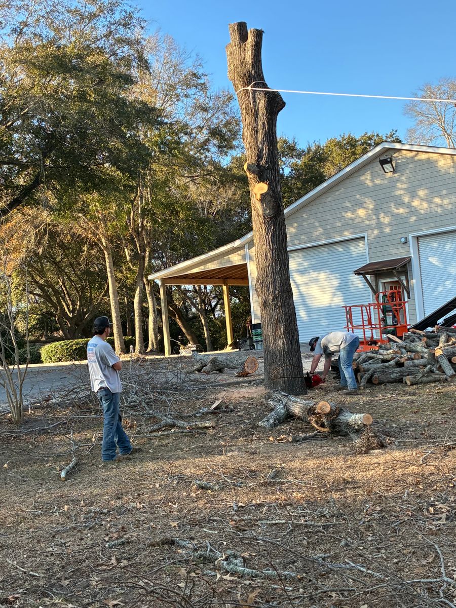 Tree Trimming/Tree Removal for Top Notch Landscape in Sneads Ferry, NC