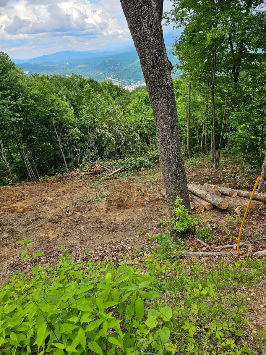 Land Clearing & Demolition for Walker Excavation in Tazewell, TN