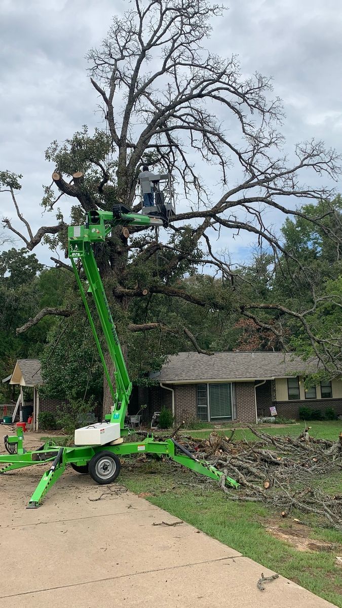 Tree Trimming for Reymundo's Tree Service in Brownsboro, TX