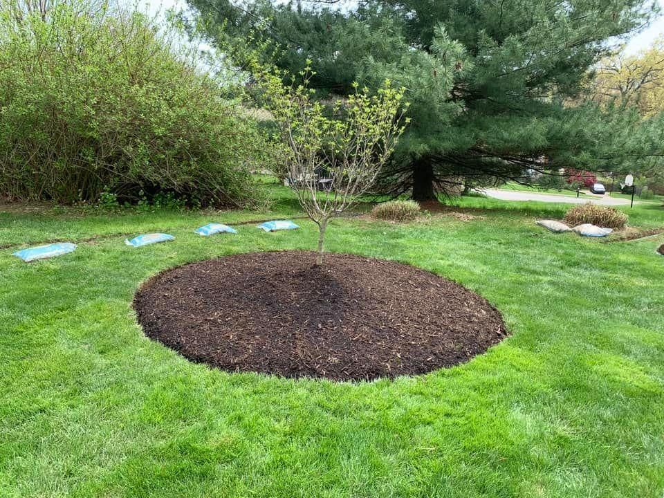 Tree Bush and Flower Installation for Trueman Landscaping in Wexford, PA