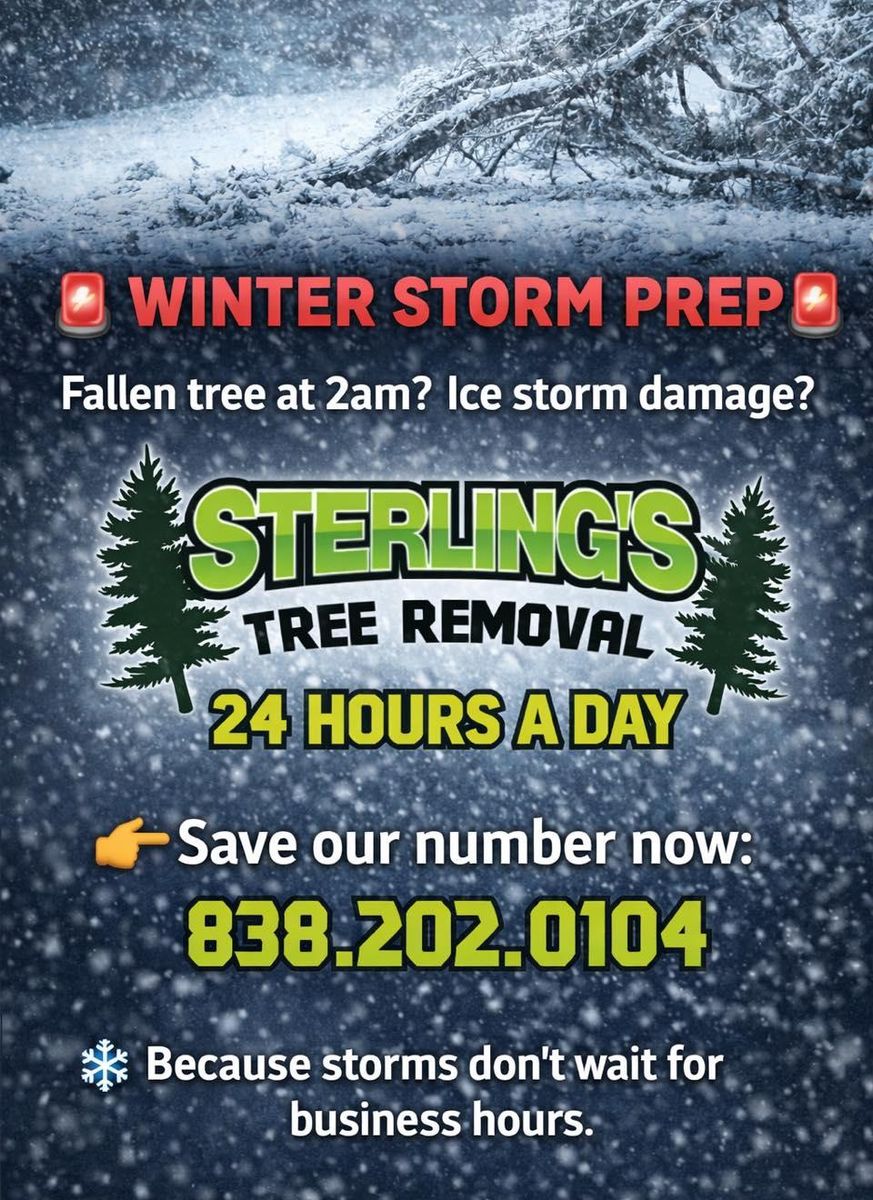 Storm Cleanup for Sterlings Tree Removal in Cobleskill, New York