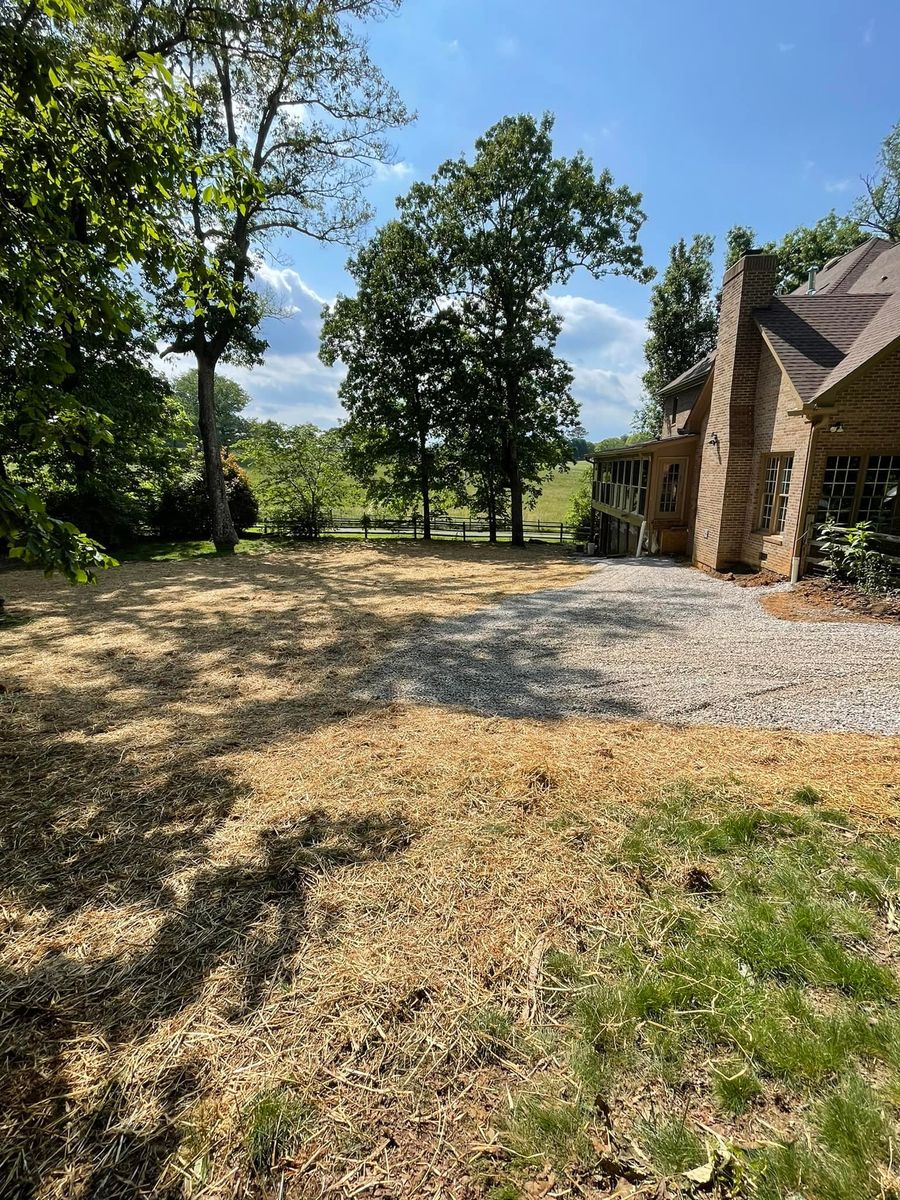 Land Clearing & Demolition for Elite Dirtworks in Maynardville, TN