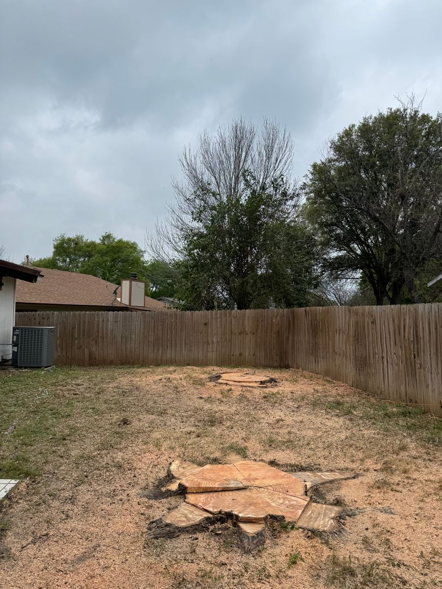 Stump Removal for Z’s Trees LLC in Grey Forest, TX