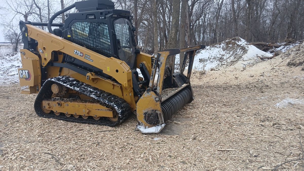 Tree Removal for Willing Trucking & Excavating in Evansville, WI