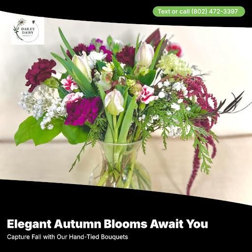 Seasonal Specials: weathers and poinsettias for The Dailey Daisy in Hardwick, VT