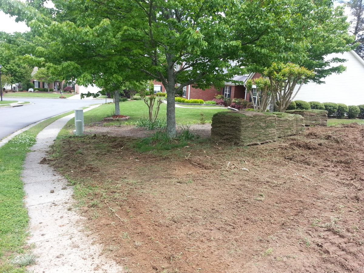 Sod Installation for Terra Bites Lawn Service in Jefferson, GA