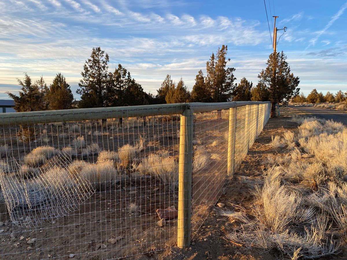 No Climb Wire for All ‘Round Boys in Prineville, OR