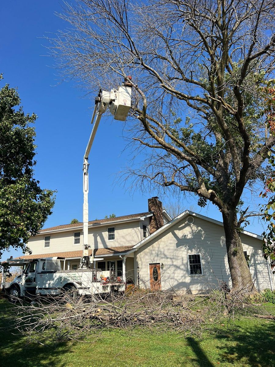 Property Clean Up for Baker Professional Services LLC in Shelbina, MO