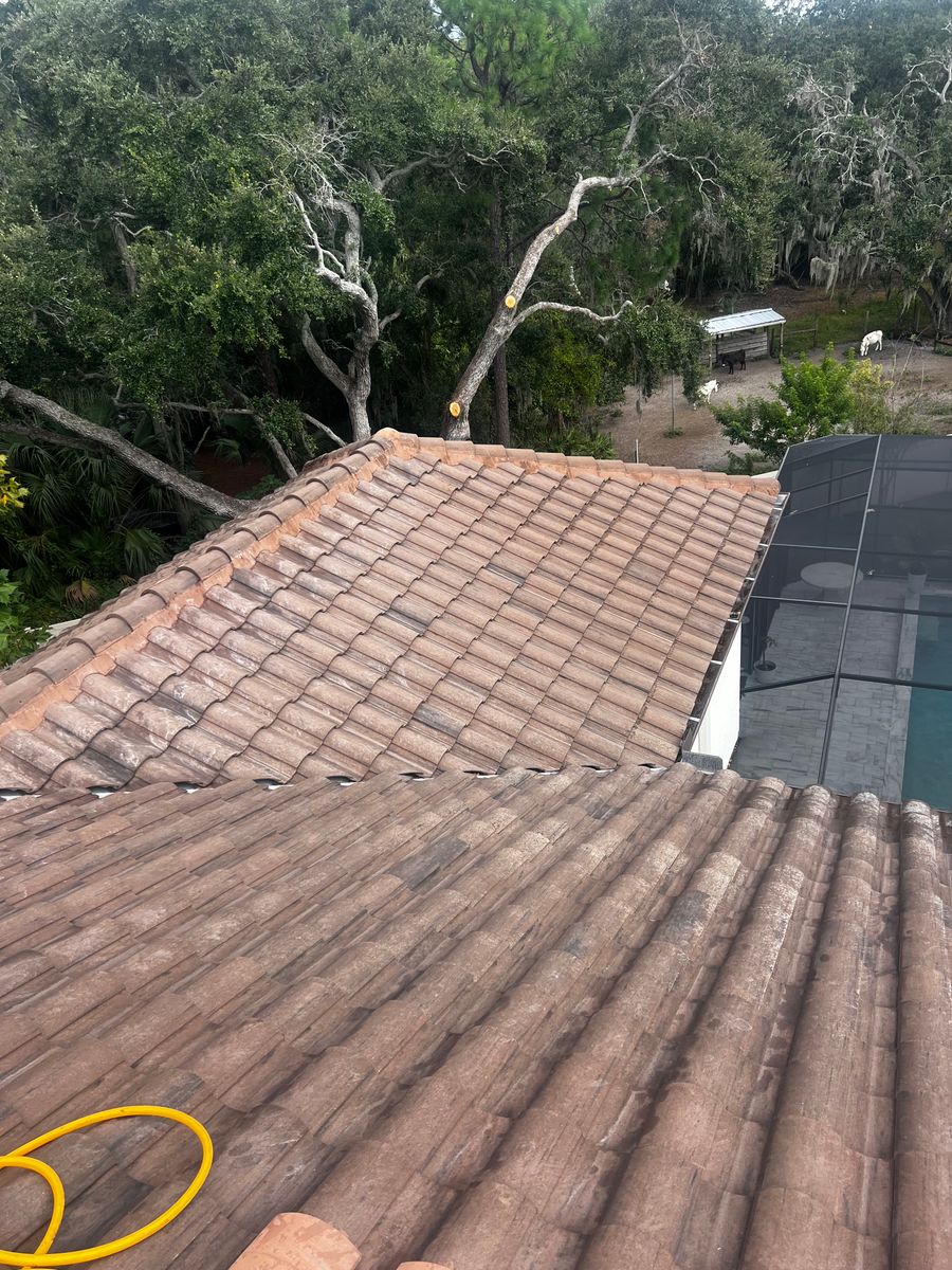 Roof Cleaning for Barr None Wash Pro in Tampa, FL