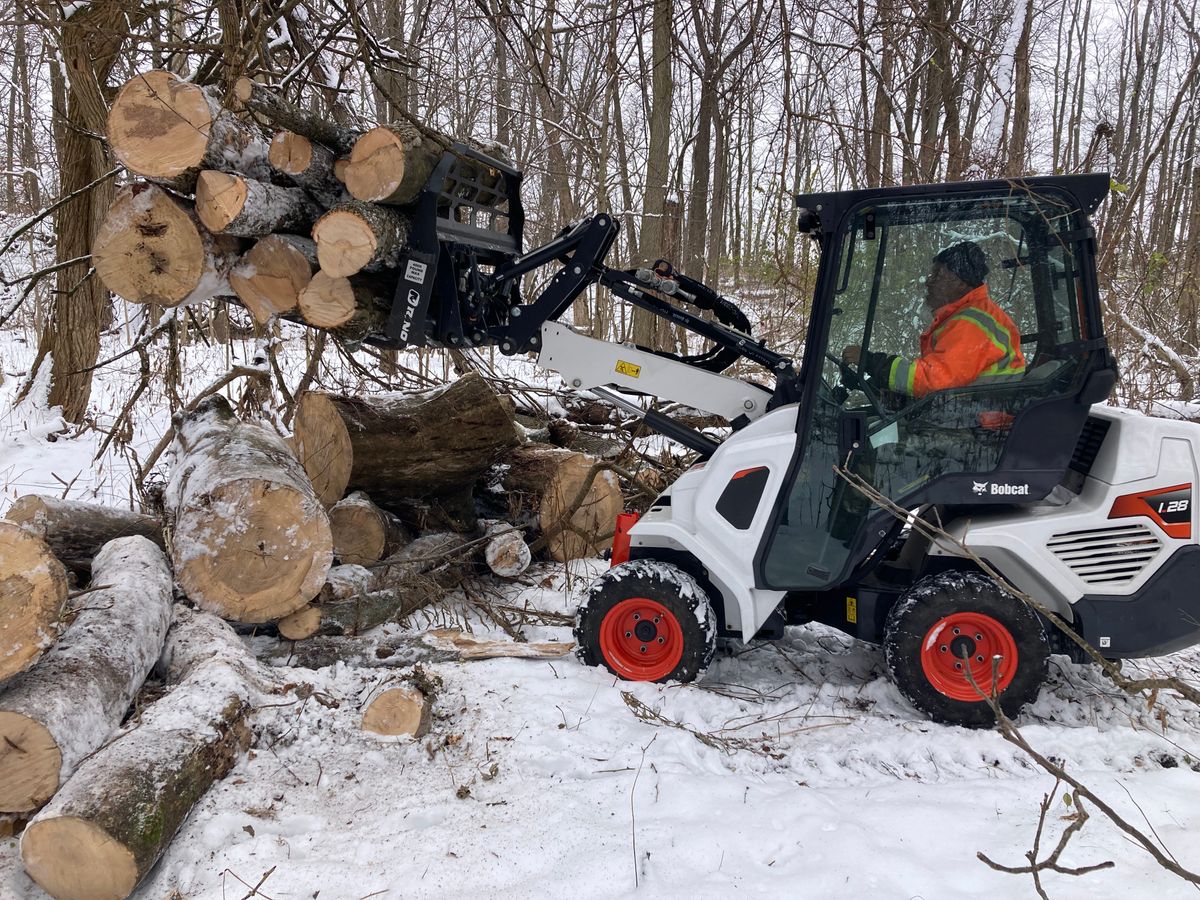 Stump Removal for Village Tree Service  in Whitestown, IN