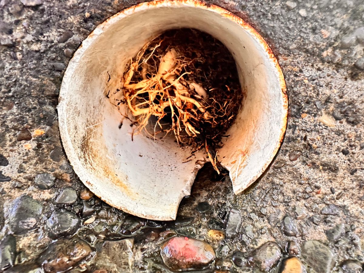 Sewer Repairs for Mountain View Services in Sandy, OR