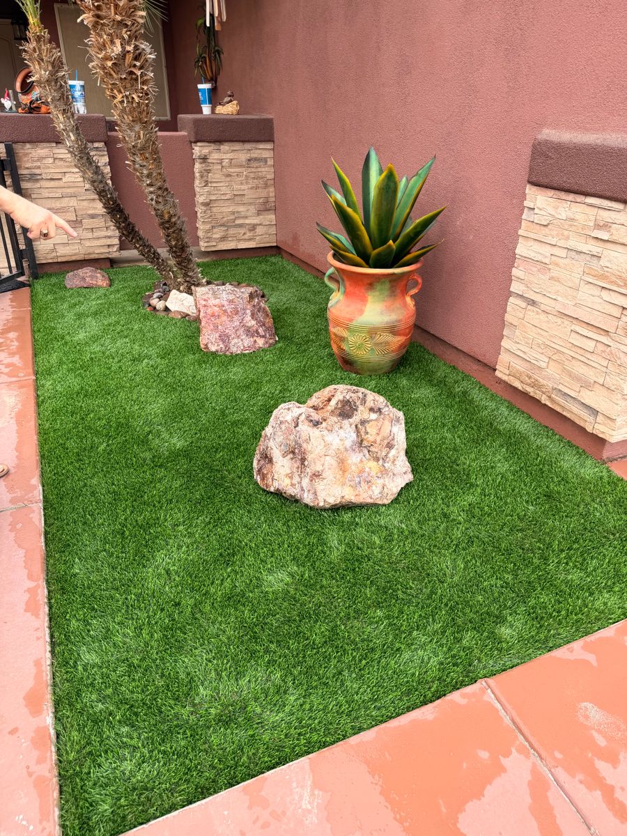 Turf Solutions for Yuma Palms & Tree Service in Yuma, AZ
