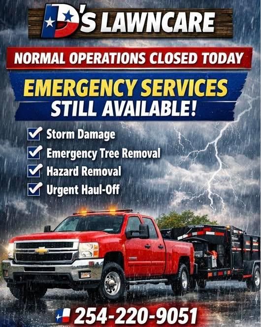 Junk Removal for D’s Lawncare in Killeen, TX