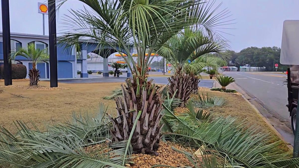 Residential Maintenance for Zepeda's Mowing in Fort Valley, GA