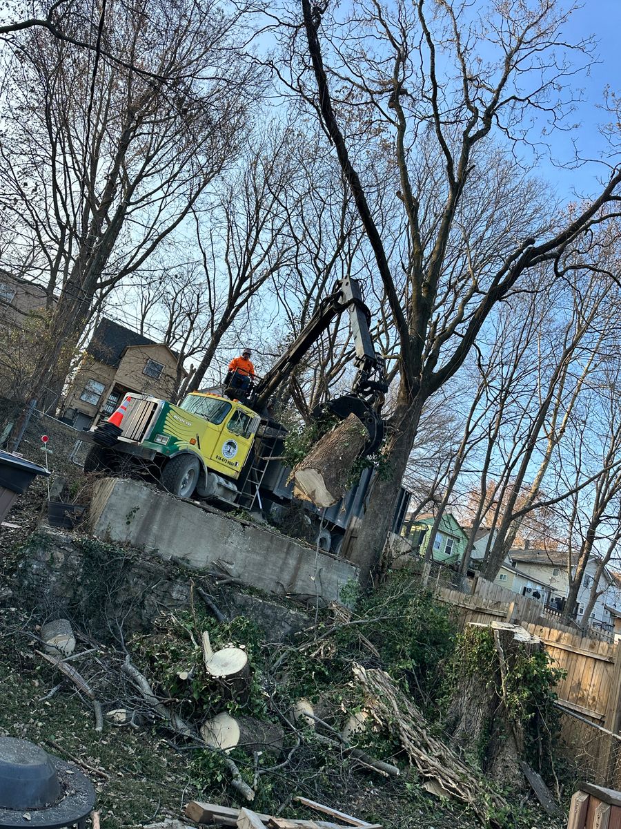 Land Clearing for Cross Family Tree Service in Kearney, MO