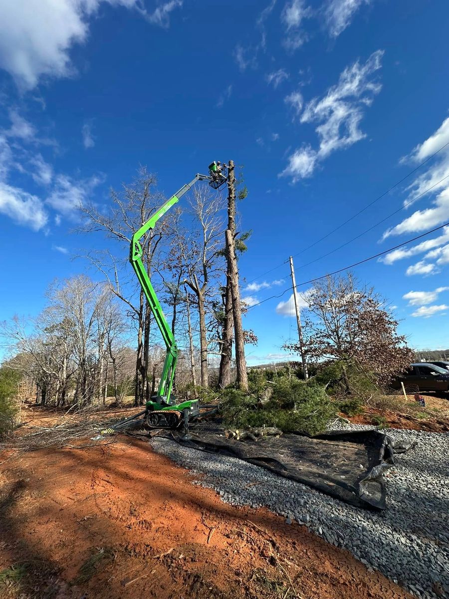 Tree Trimming & Removal for Precision Site Works LLC in Mocksville, NC