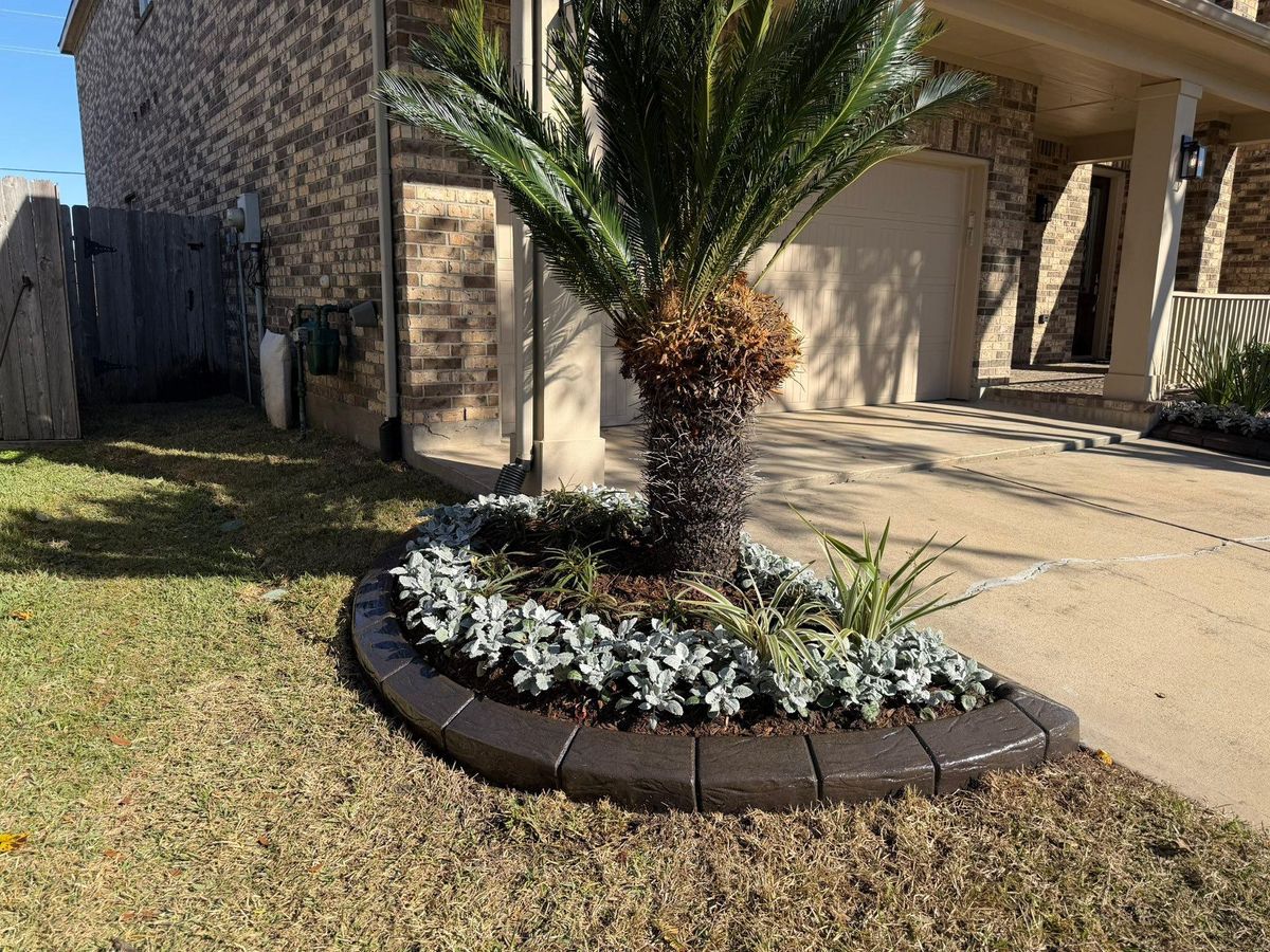 Landscaping for Texas Curb N Borders in Houston, TX