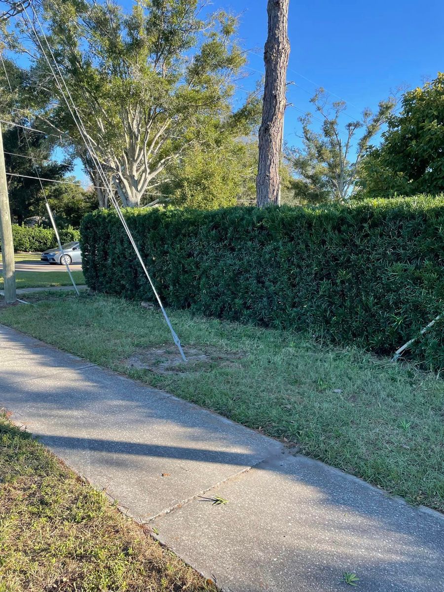 Trash Pick Ups and Deliveries for Team Tolson Landscape in Tampa Bay, FL