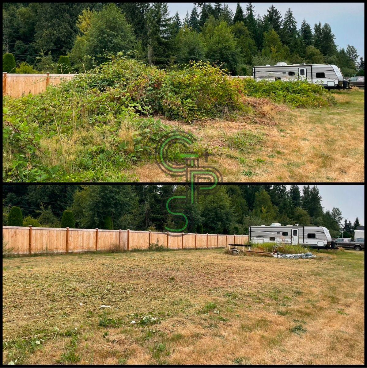 Brush Clearing - Bramble Clearing - Blackberry Clearing for Golovin Property Services LLC in Marysville, WA