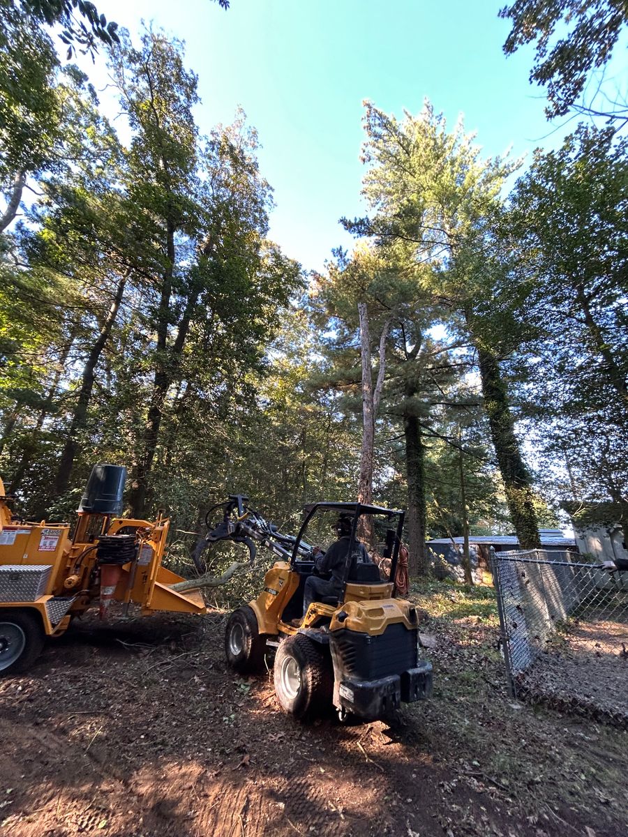 Tree Trimming for Hingewood Tree Service in Salem, NJ