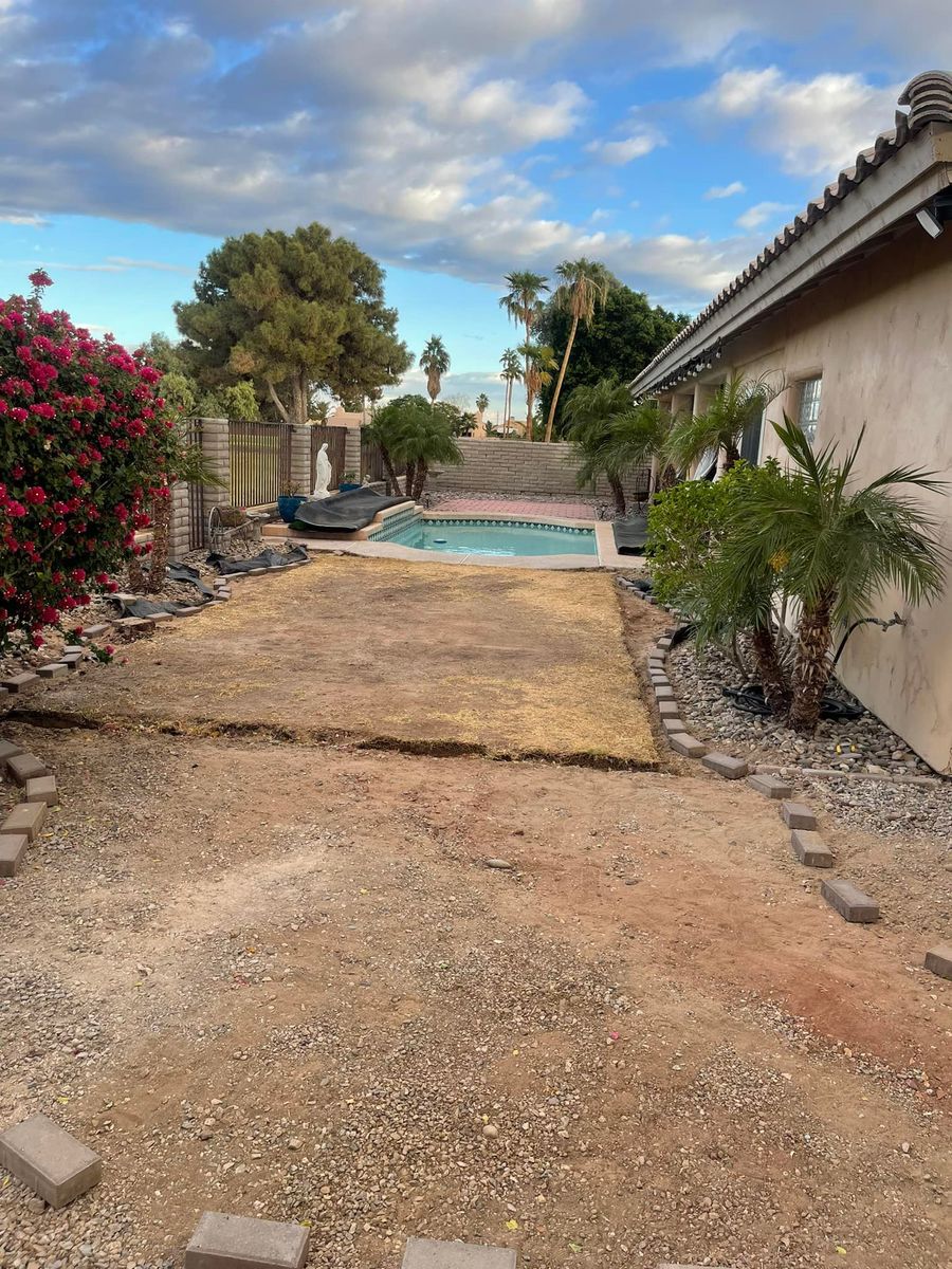 Turf Solutions for Yuma Palms & Tree Service in Yuma, AZ