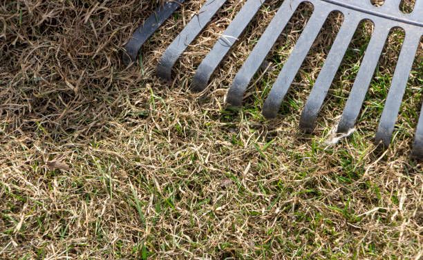 Lawn Dethatching Services for New Beginning Landscape & Remodel LLC in Atlanta, GA