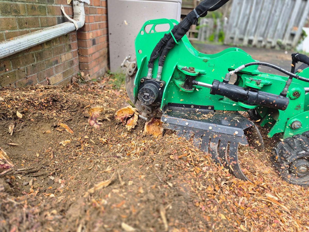 Tree Removal for OutDoorMasters Hardscape in Fredericksburg, VA