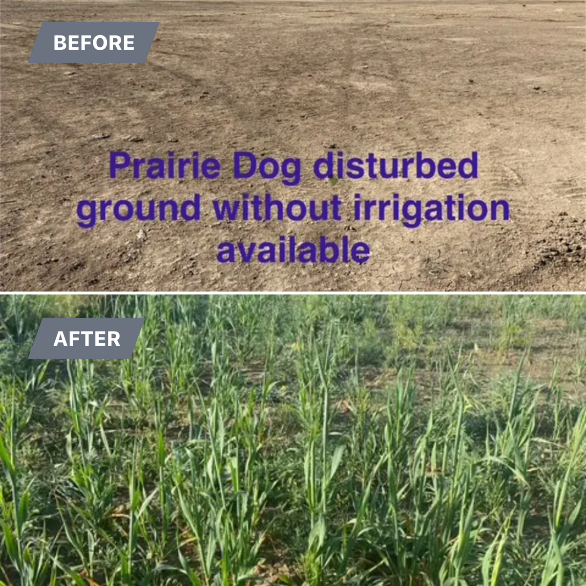 Tough to reach areas for Fair Weather, Inc in Rocky Ford, CO