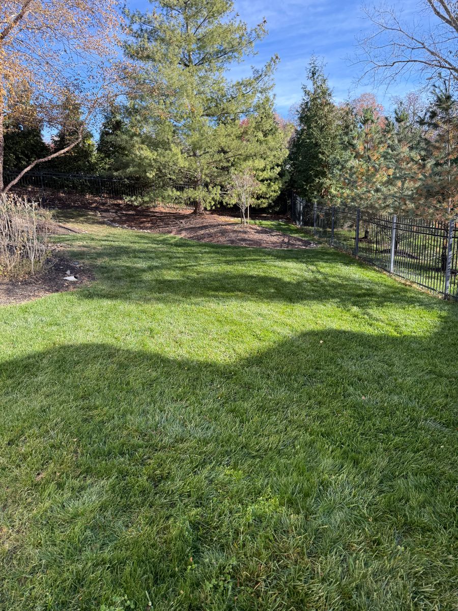Fertilization for Elite Lawn Care Solutions in Leavenworth, KS