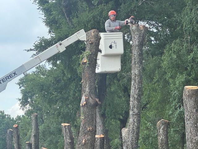 Vegetation Management for A Realtree Service in Garland, TX