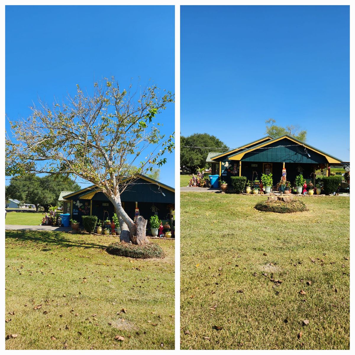 Tree Removal for Ken's Elite Cutters LLC  in Breaux Bridge, LA