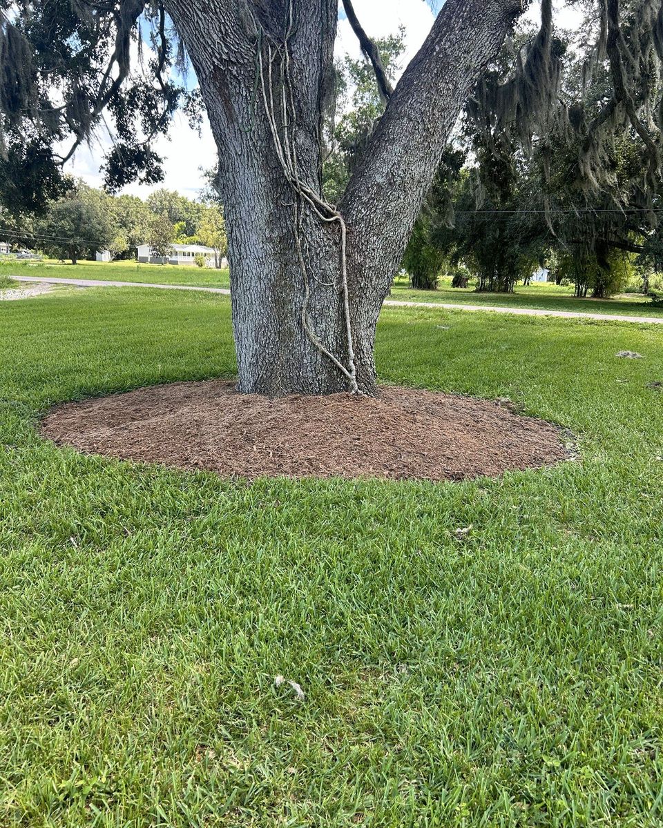 Other Services for Greene Acres Stump Grinding in Plant City, FL